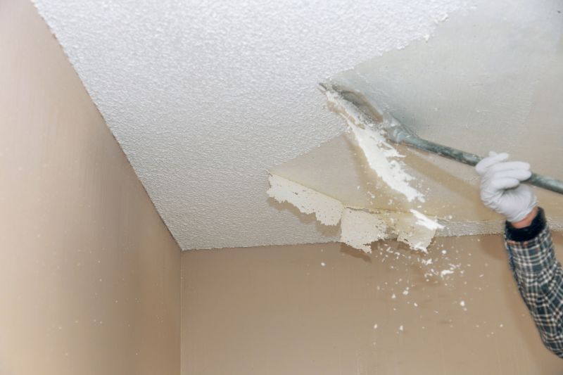 Ceiling Scraping