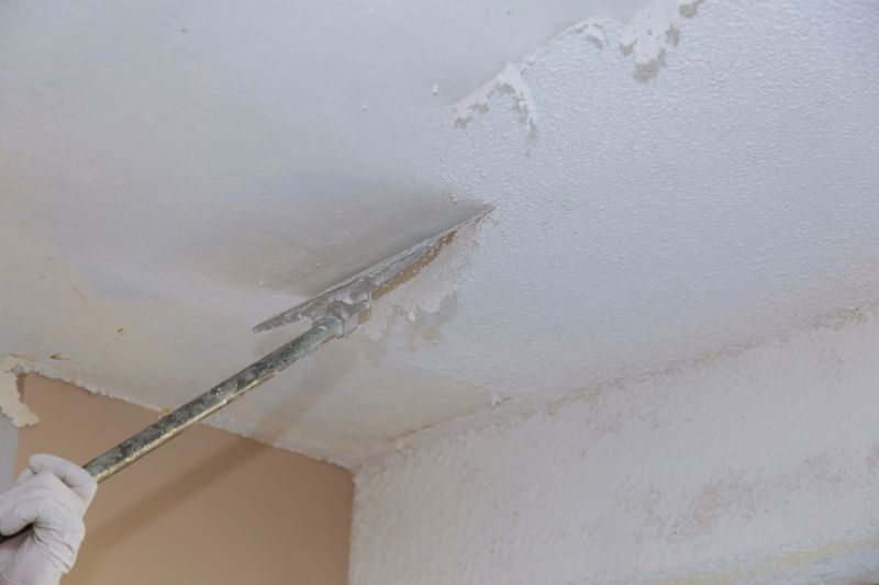 Ceiling Scraping