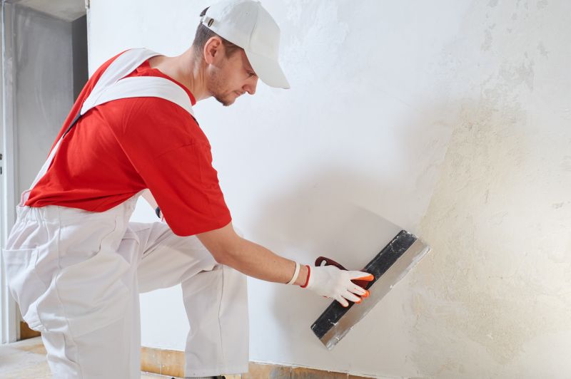 Wall Plaster Repair
